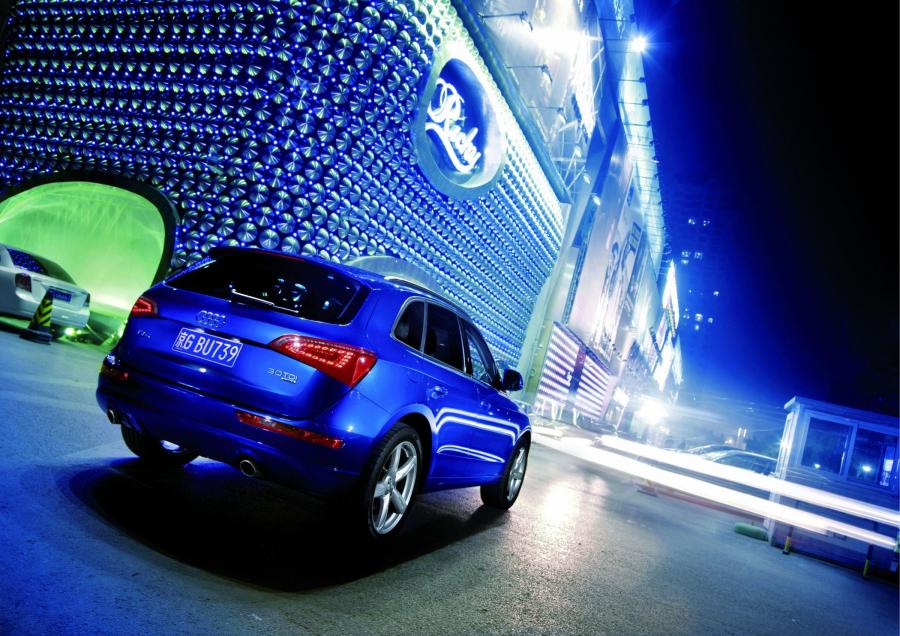  Audi Q5 3.0 TDI Quattro (8R) 2008 года  (фото 11 из 30)